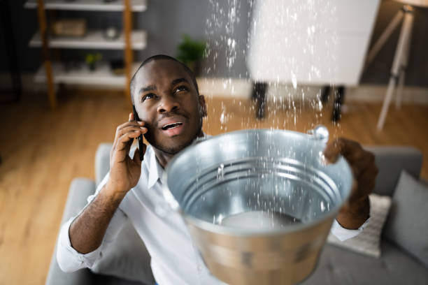 Best Local water damage restoration  in Delphos, OH
