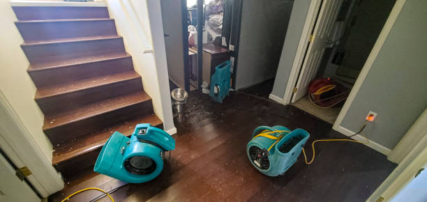 Best 24-hour water damage restoration  in Delphos, OH