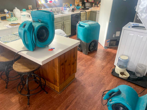 Best Water damage restoration services  in Delphos, OH