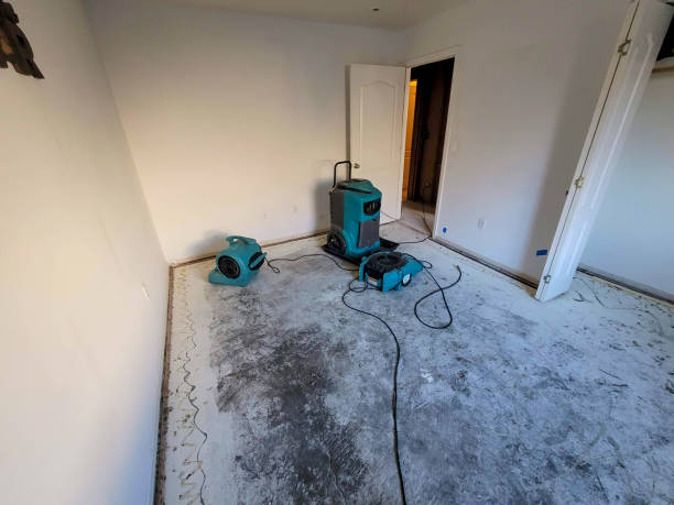 Best Sewage cleanup and water damage restoration  in Delphos, OH