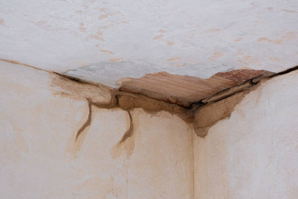 Best Residential water damage restoration  in Delphos, OH