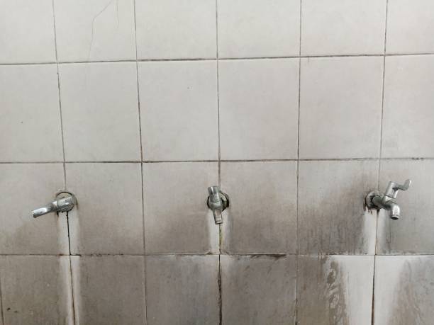 Best Flooded house restoration  in Delphos, OH