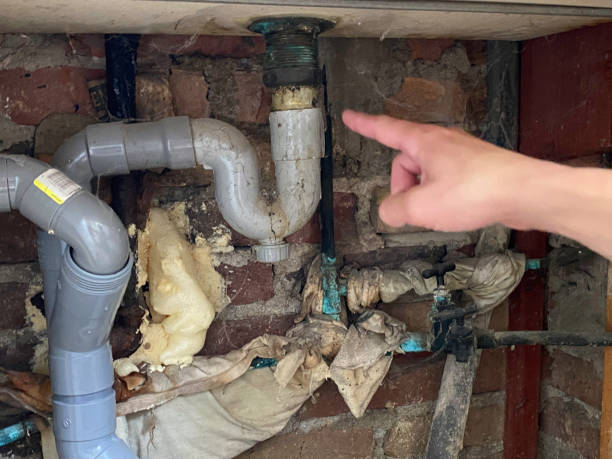 Best Water damage restoration company  in Delphos, OH
